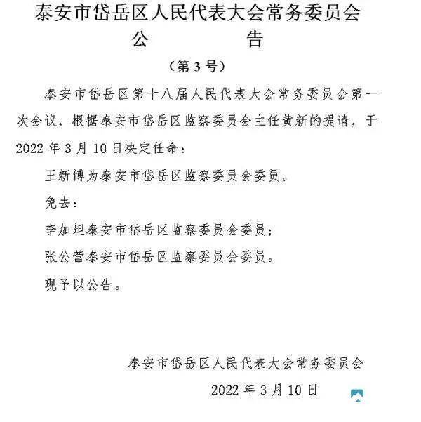 岱岳区审计局人事任命完成，审计事业迈向新高度新篇章