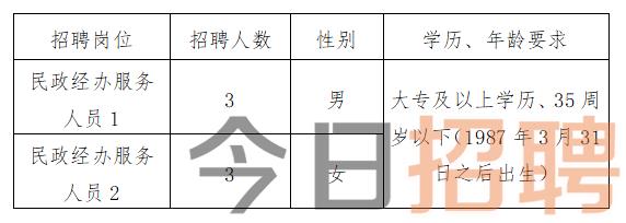 民丰县科技局最新招聘信息概览及职位详解