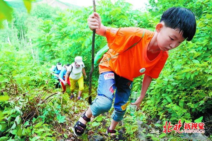 抚远县小学最新项目，开启现代教育新篇章探索