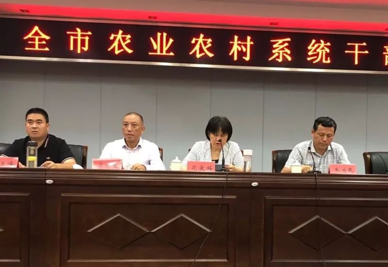 公主岭市农业农村局人事任命揭晓，塑造农业未来新篇章