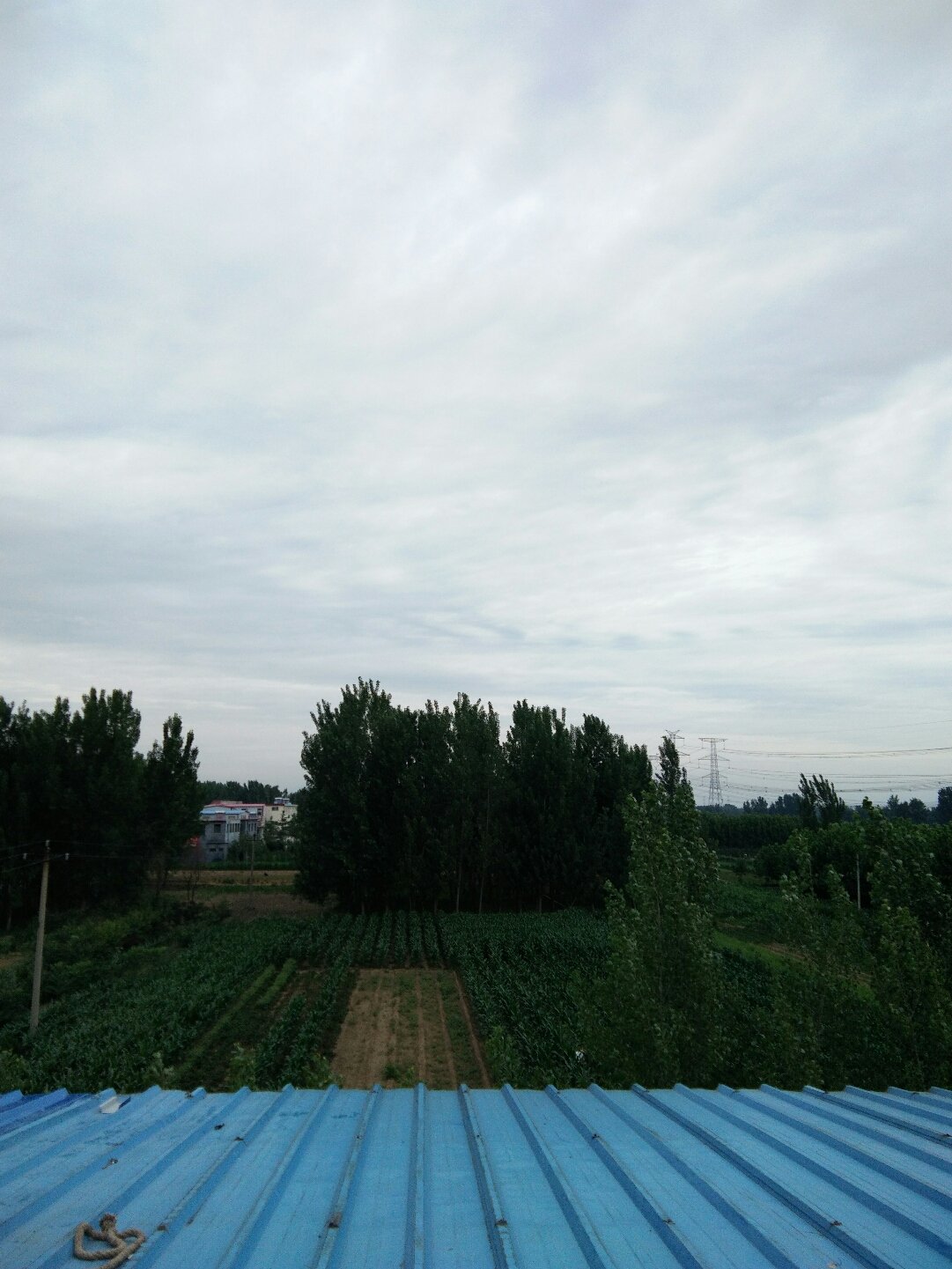 风中雨荷 第3页