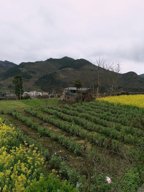 二坊坪乡天气预报更新