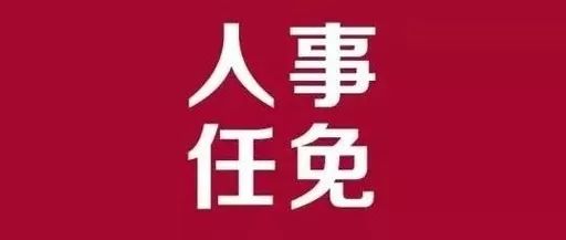 怀安县审计局人事任命启动新篇章，推动审计事业发展新动力