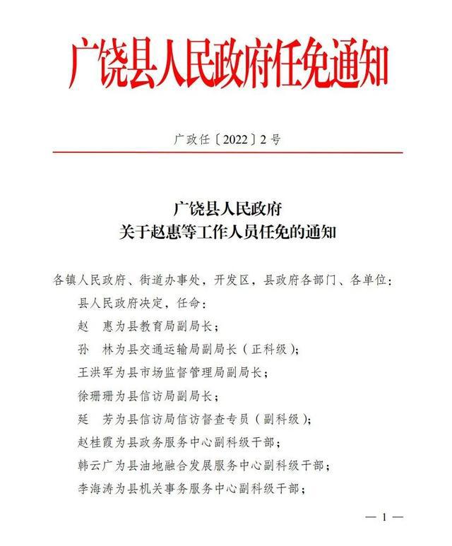 大港区人事任命新阵容，塑造未来发展新格局