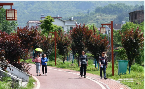 里自沽农场虚拟镇人事任命动态与深远影响分析