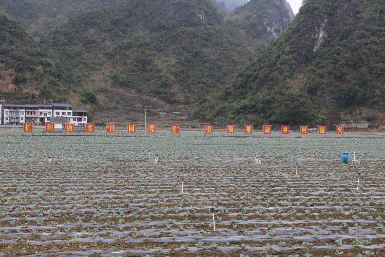 燕洞乡最新天气预报