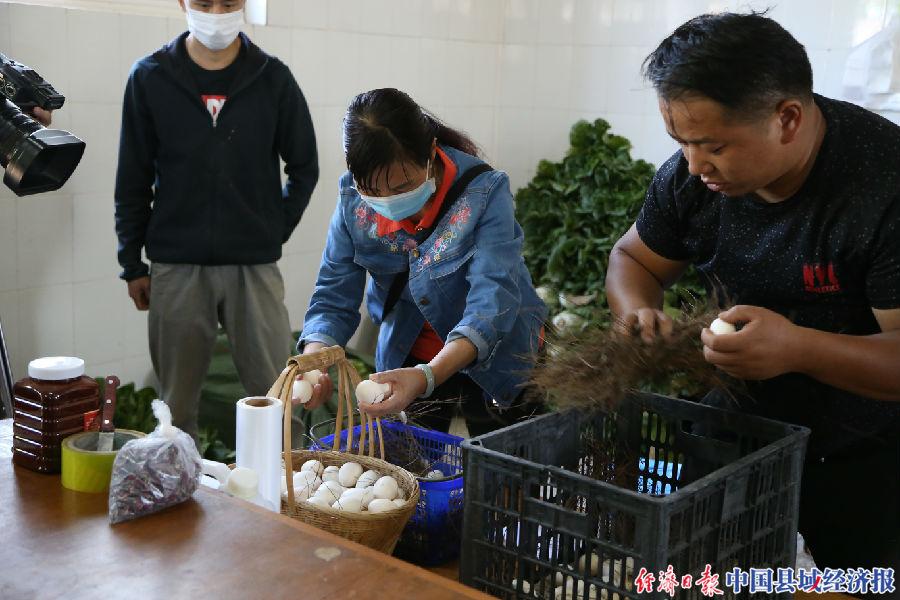 西山农业园区打造便捷交通网络，推动农业现代化发展新闻速递