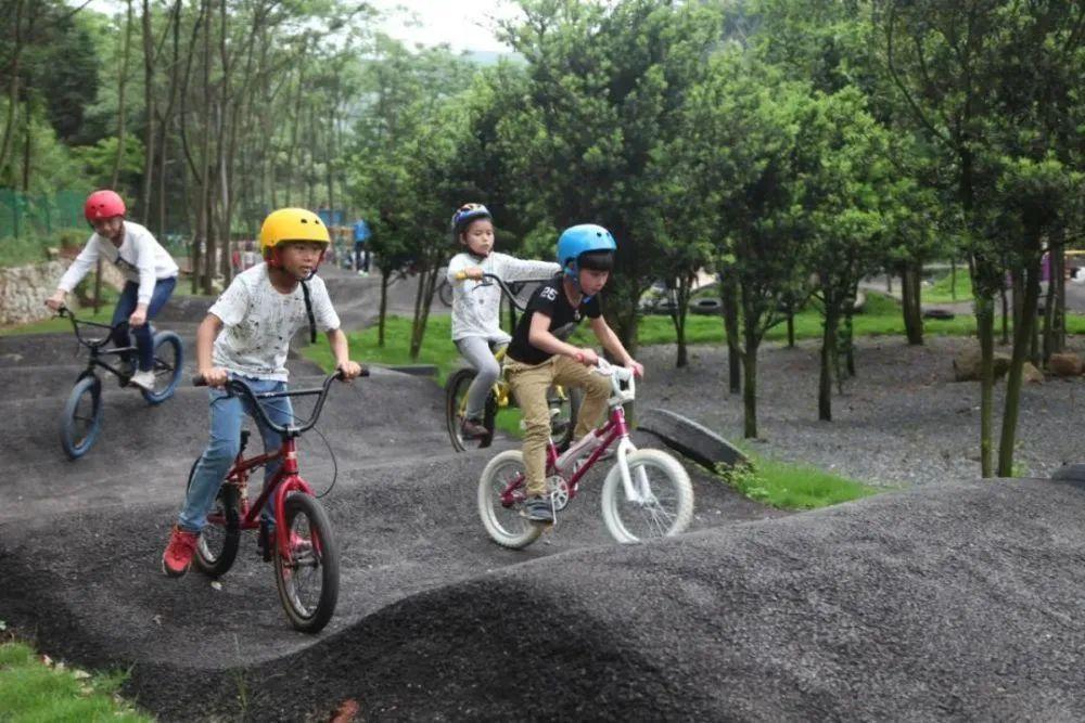 岸上乡重塑乡村魅力，引领地方发展新篇章启动项目