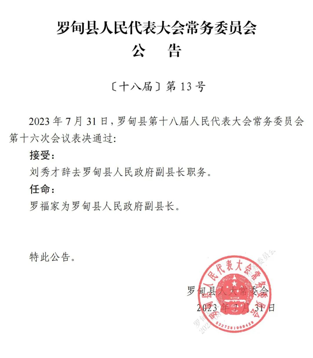 大坡村委会人事任命揭晓，开启乡村发展新篇章