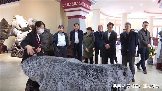 阜阳市旅游局最新招聘信息概览