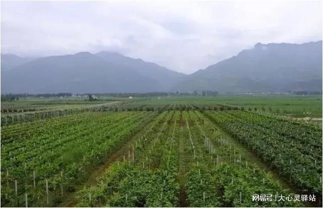 城南园艺场最新天气预报