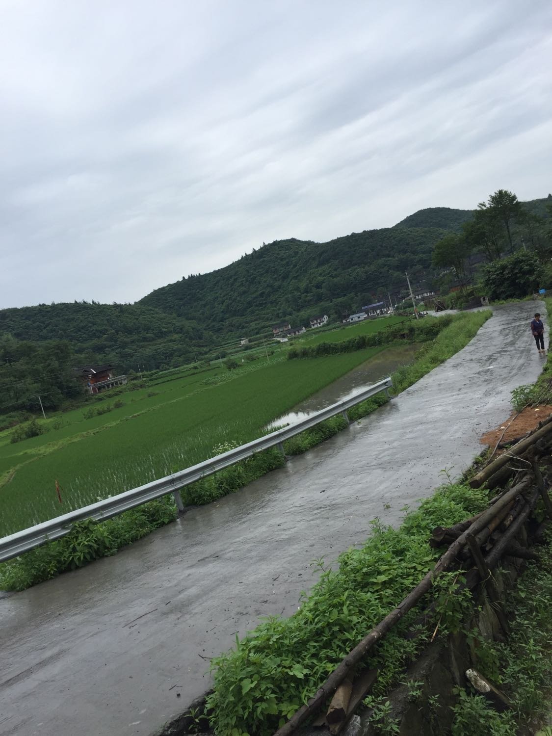 浪川乡最新天气预报