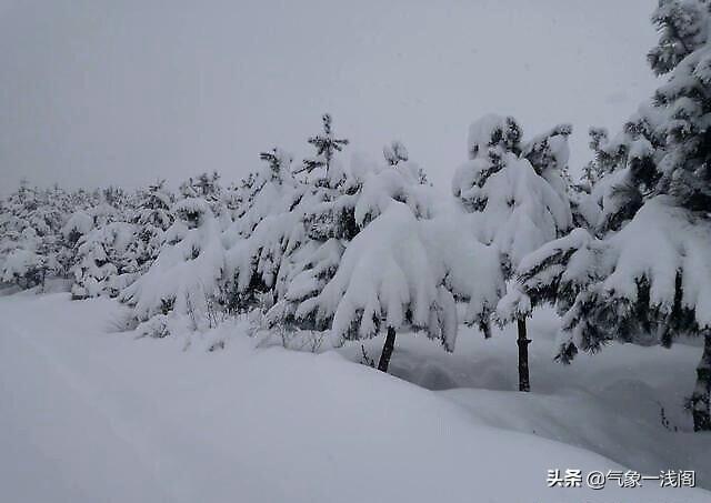 太平村天气预报更新通知