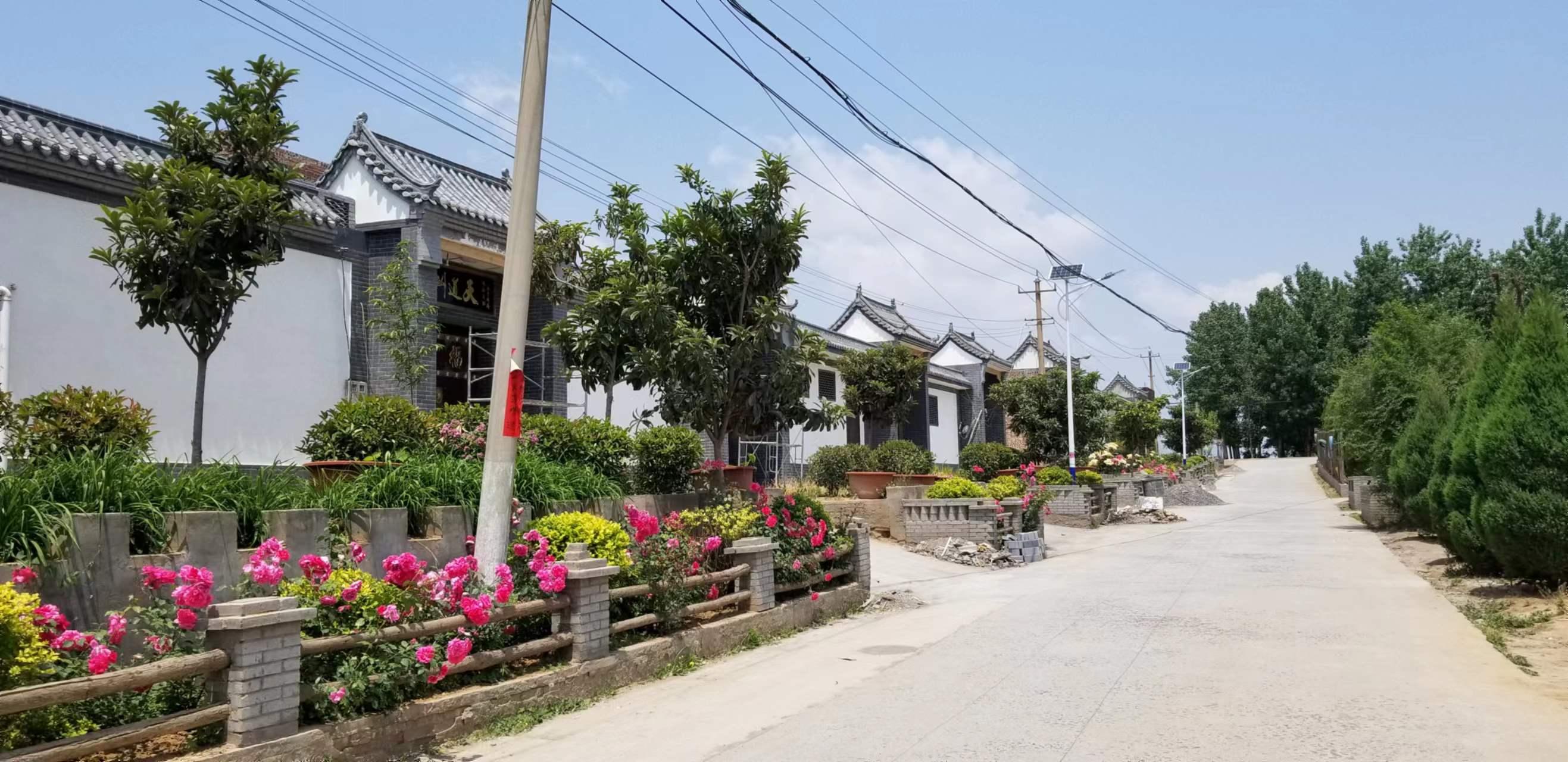 鲁庄镇未来繁荣蓝图，最新发展规划揭秘