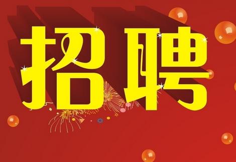 民意乡最新招聘信息概览及其影响分析