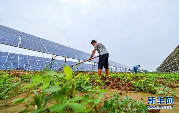 北台头乡最新新闻动态报道速递