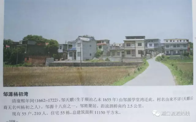 寺庄湾村委会新项目启动，乡村振兴新动力源泉