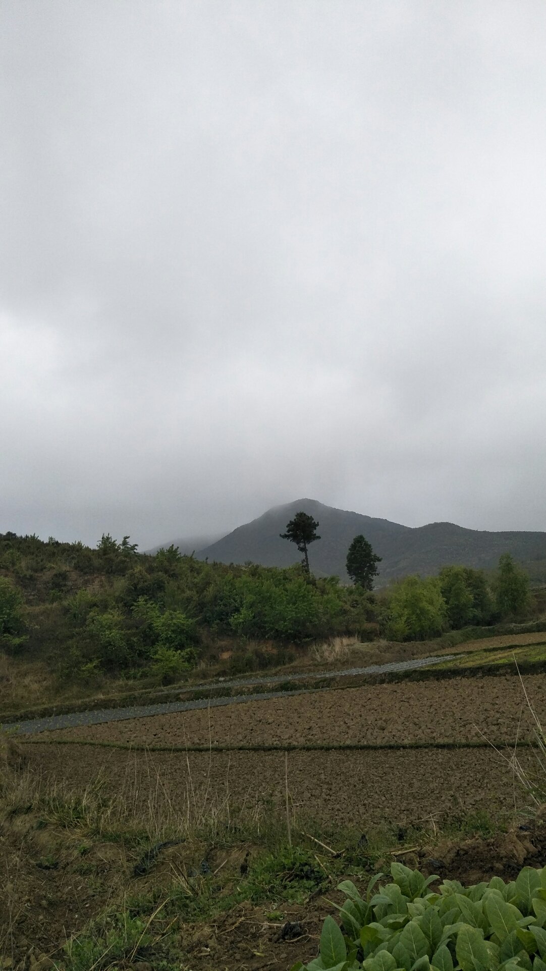 纪碾村天气预报更新通知