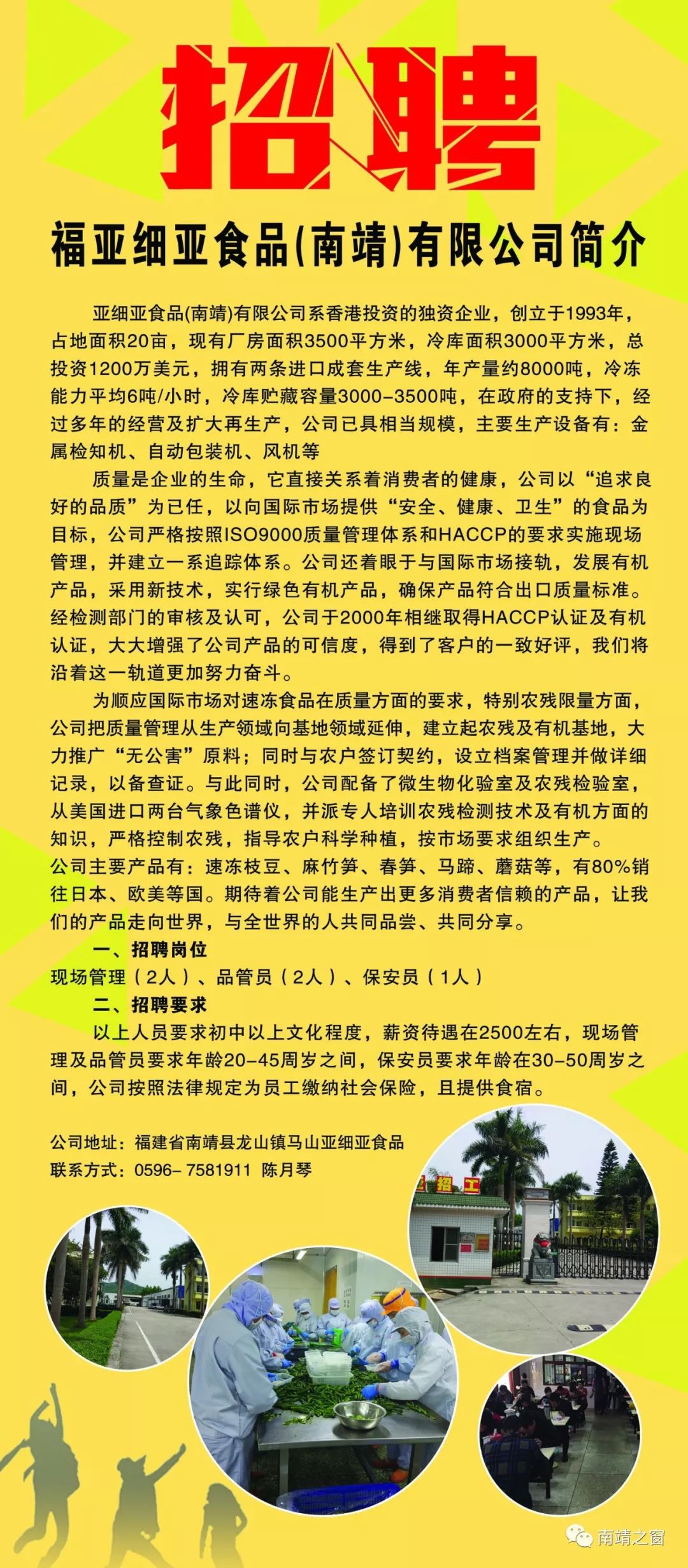 大邹镇最新招聘信息详解，招聘概述与解读