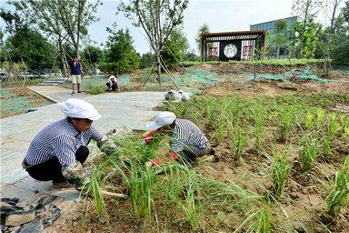 下木达村新项目，乡村振兴与绿色发展融合实践探索