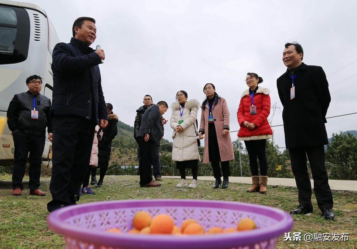 浮石镇未来繁荣蓝图，最新发展规划揭秘