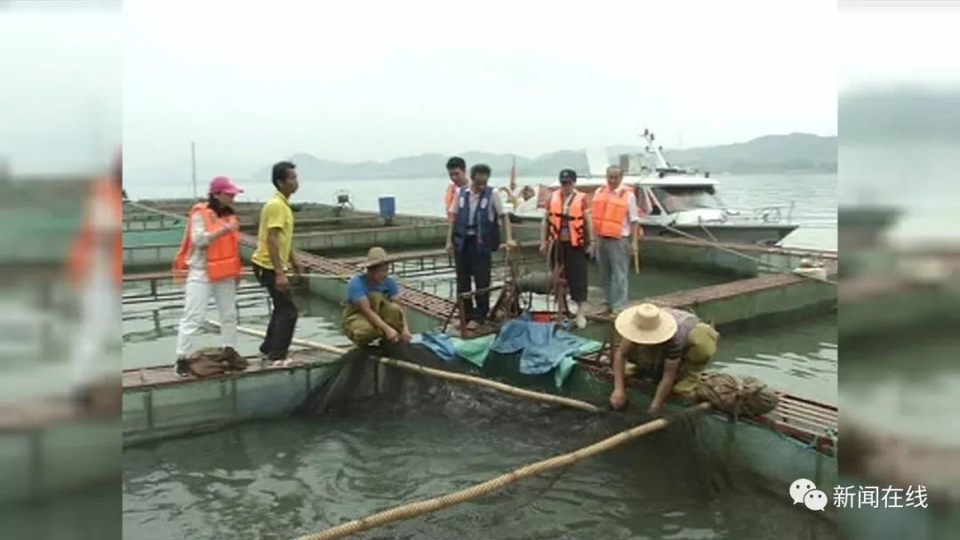 长洲区应急管理局最新项目，构建现代化应急管理体系全新篇章