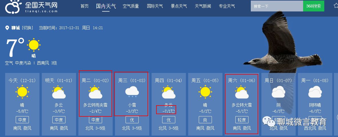 乌鸦乡天气预报更新通知