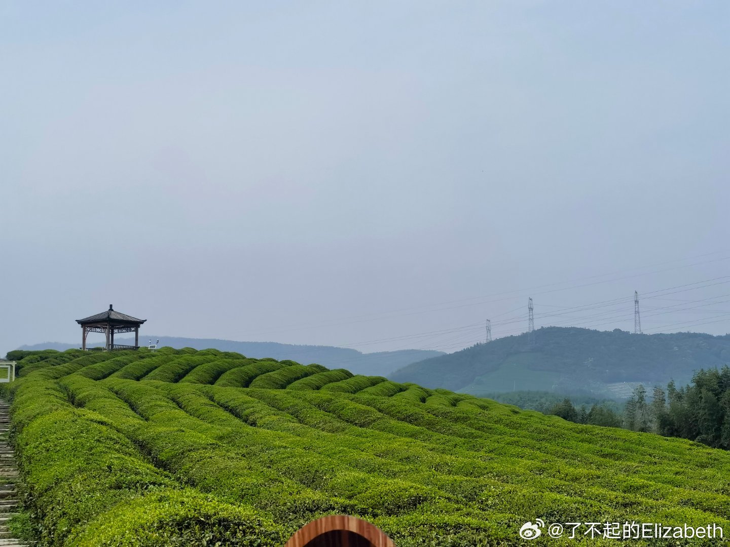 捺山茶场天气预报更新