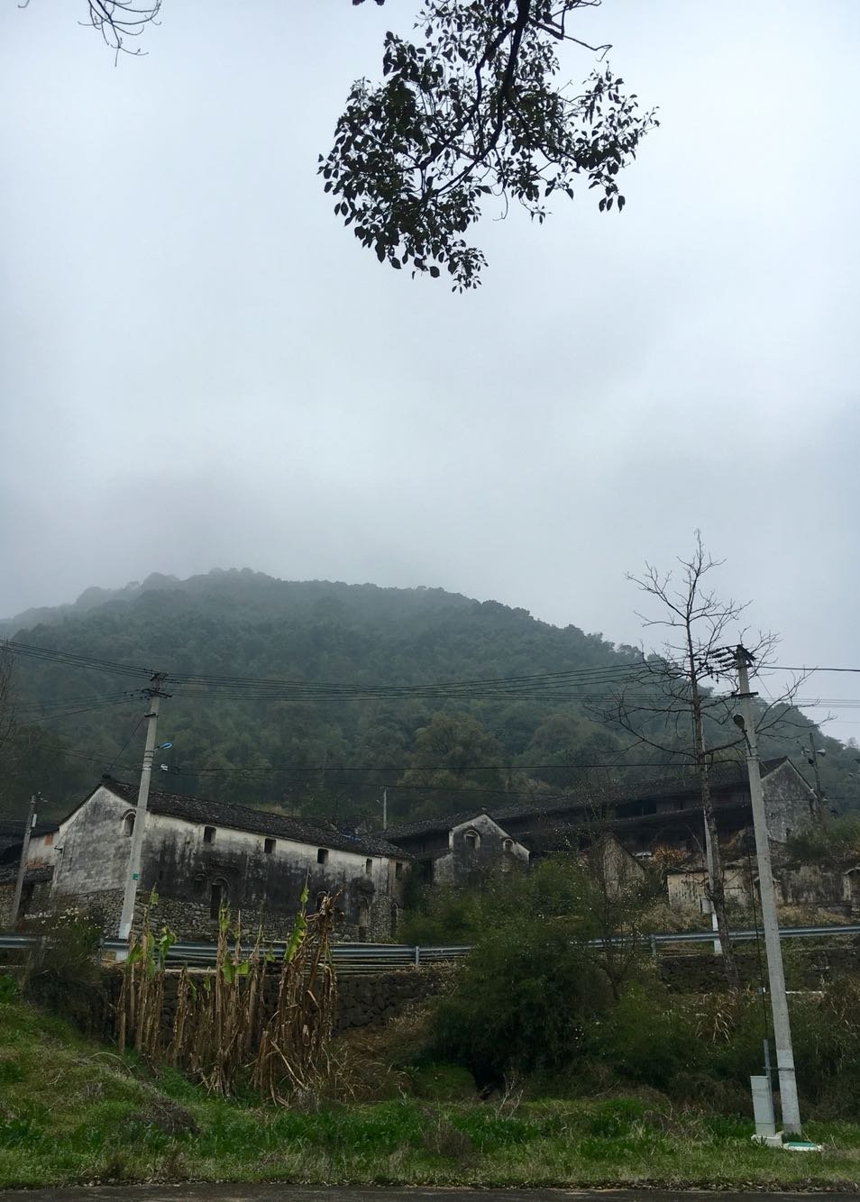 镇荣村天气预报更新通知