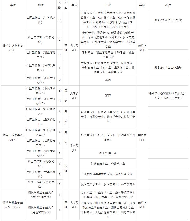 弋江区小学全新招聘启事概览